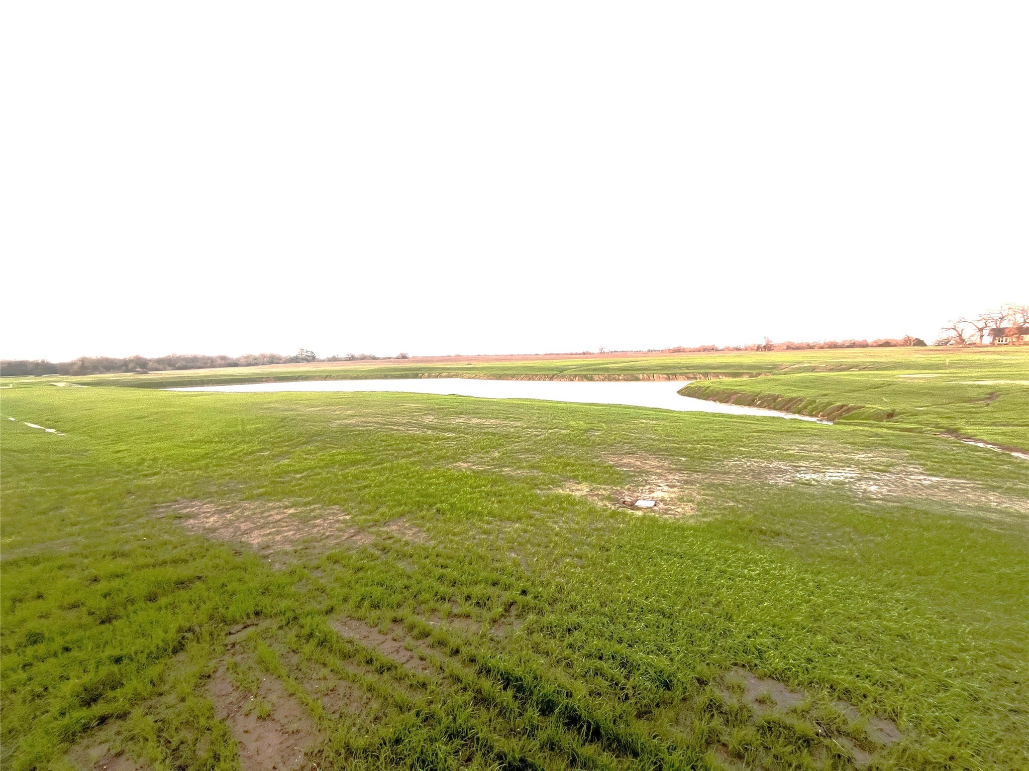 2457 Coronado Estates Drive Property Photo 6