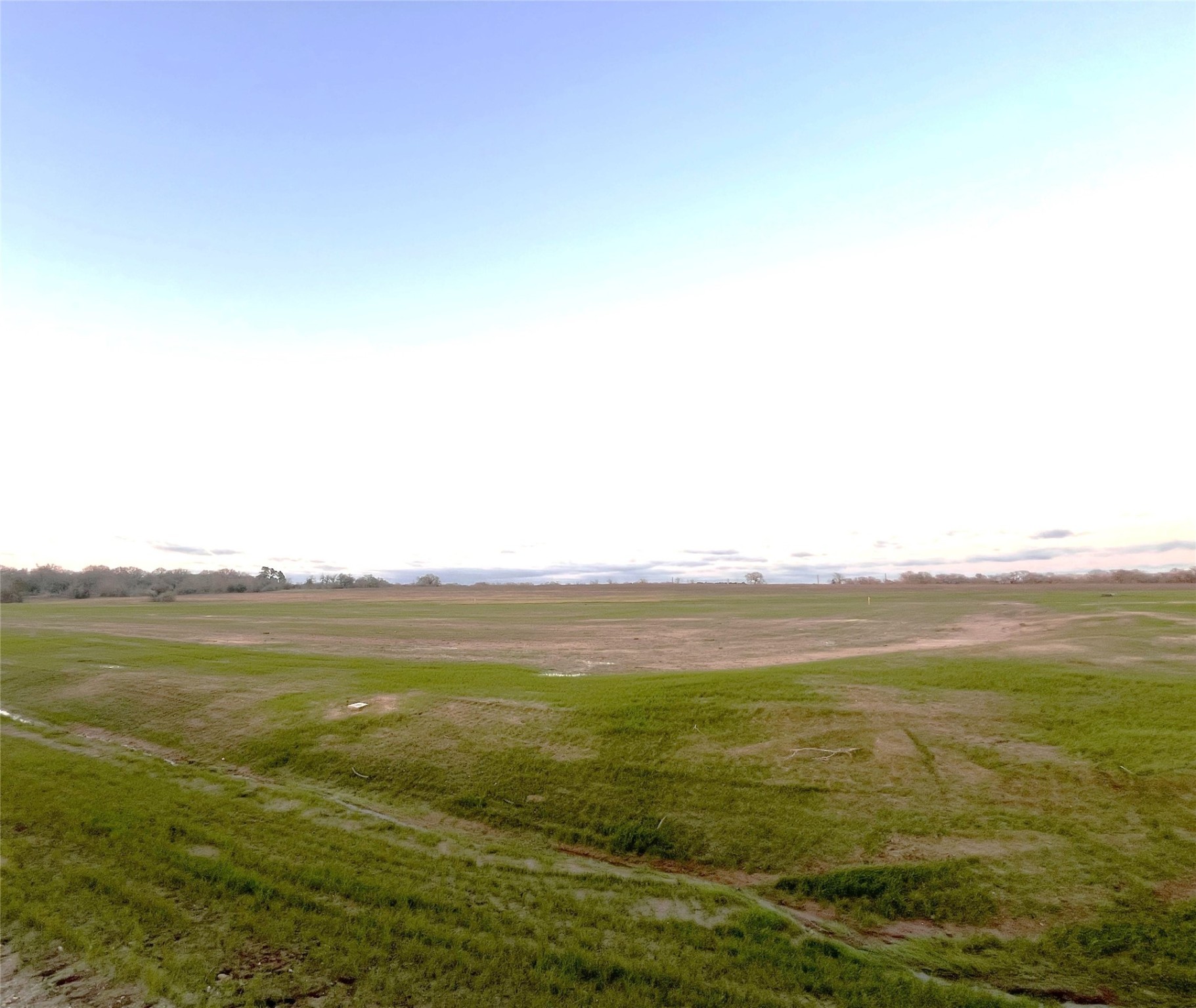 2457 Coronado Estates Drive Property Photo 9