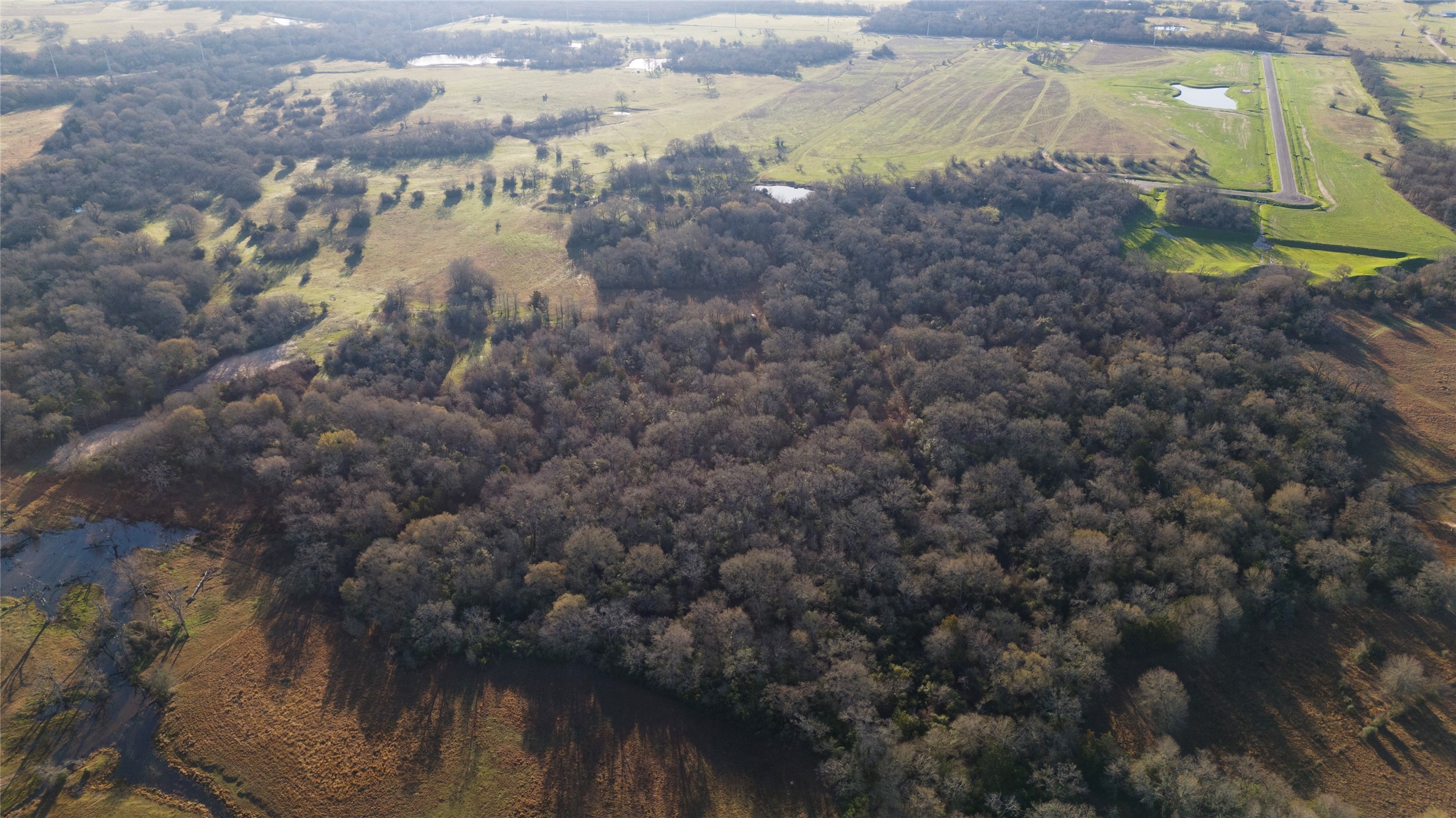 2457 Coronado Estates Drive Property Photo 41