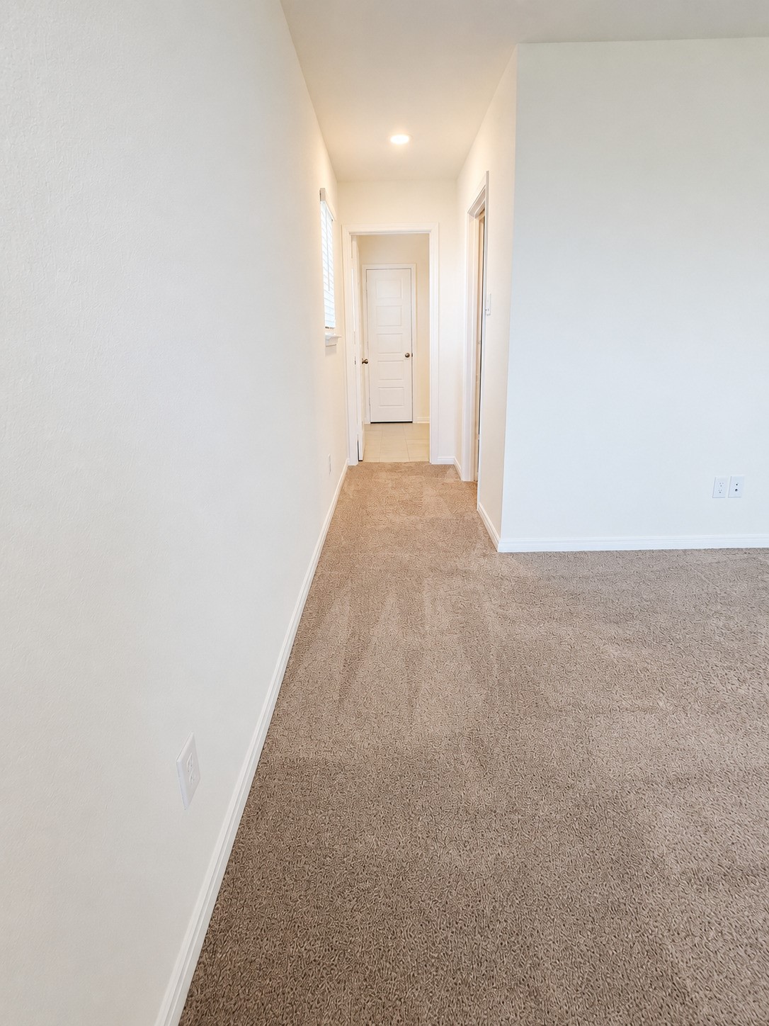 1710 Vista Luna Drive Property Photo 9