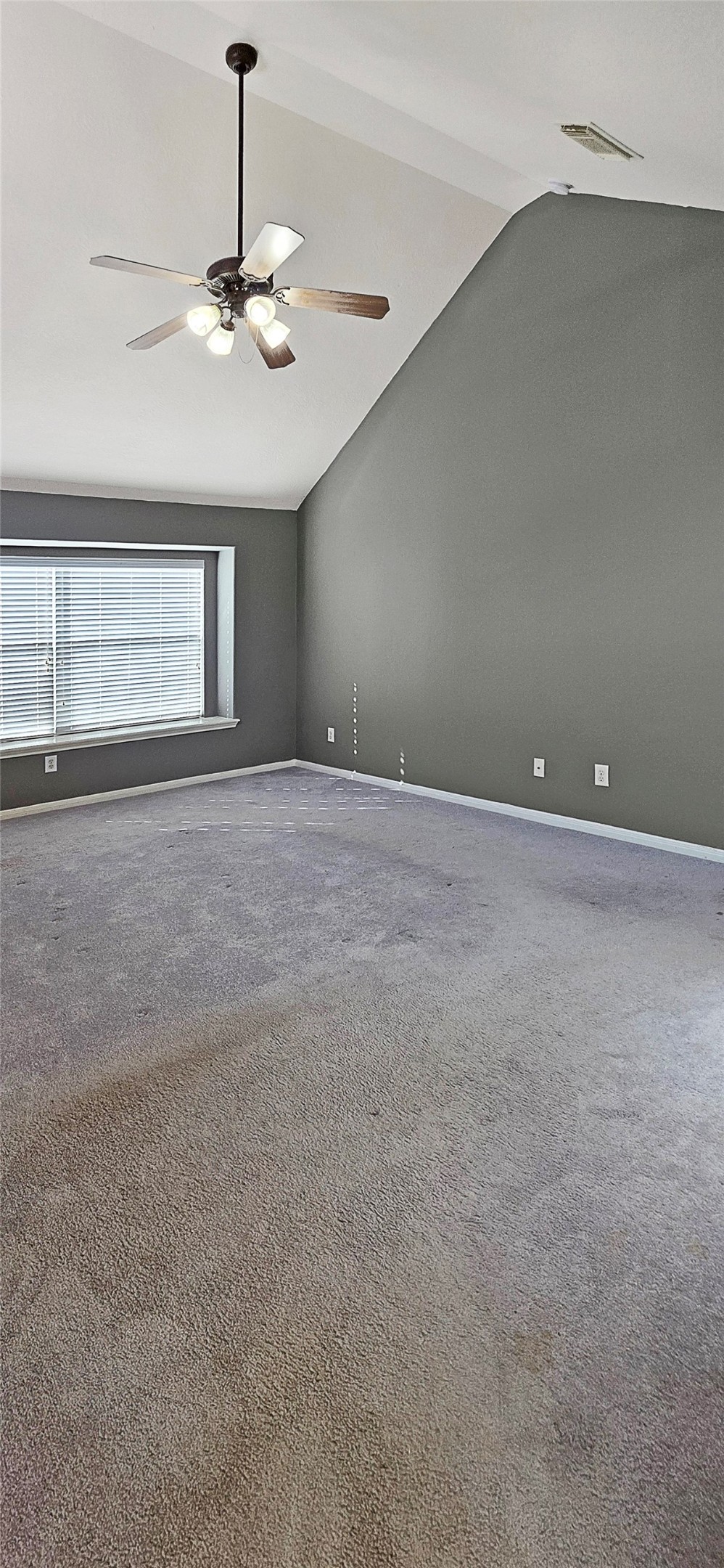 2202 Drake Falls Drive Property Photo 23