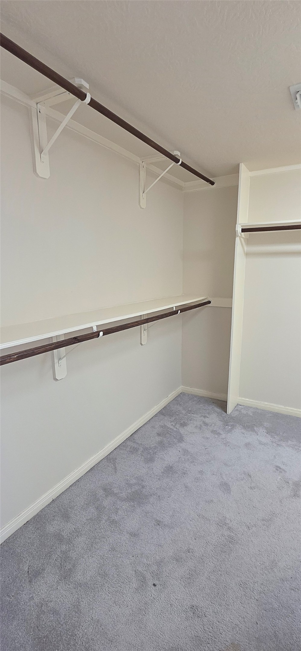 2202 Drake Falls Drive Property Photo 27