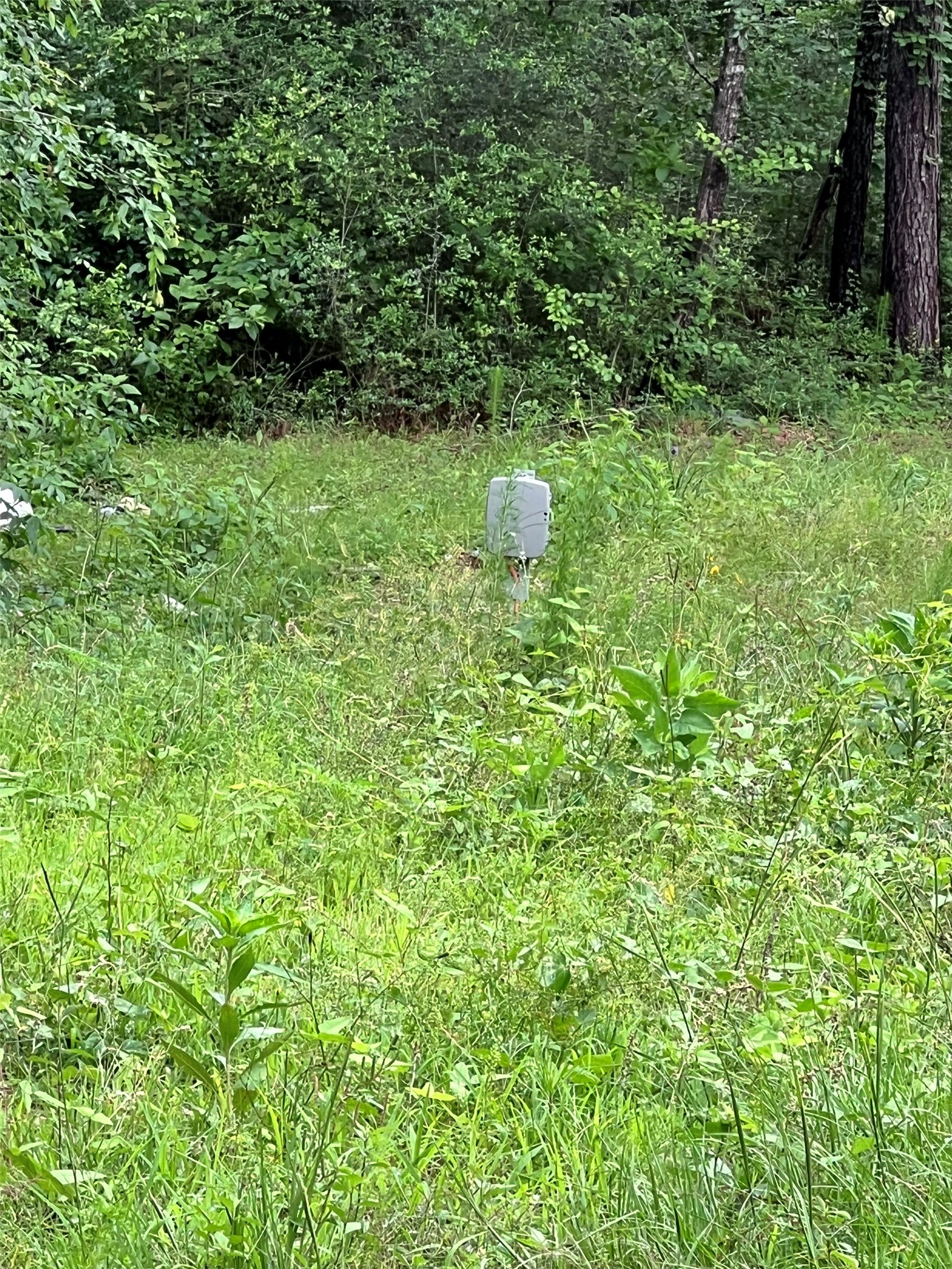 967 Big Foot Wallace Trail Property Photo 3