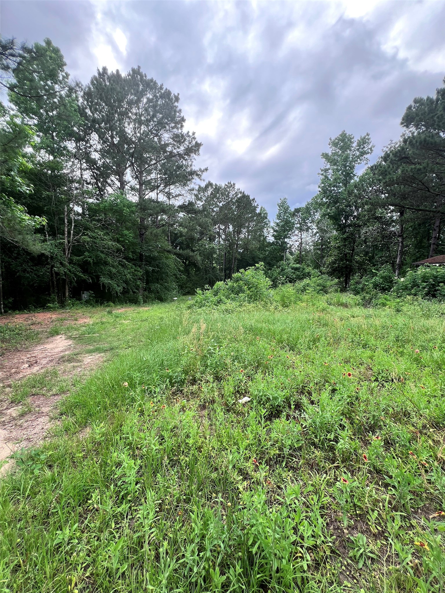 967 Big Foot Wallace Trail Property Photo 4
