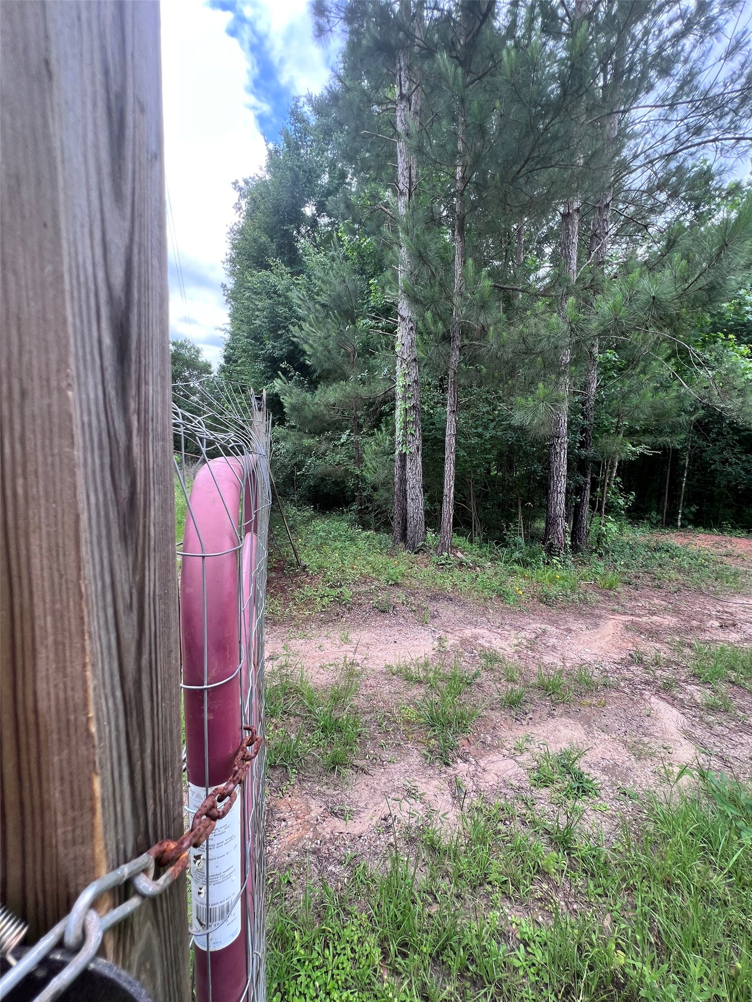 967 Big Foot Wallace Trail Property Photo 5