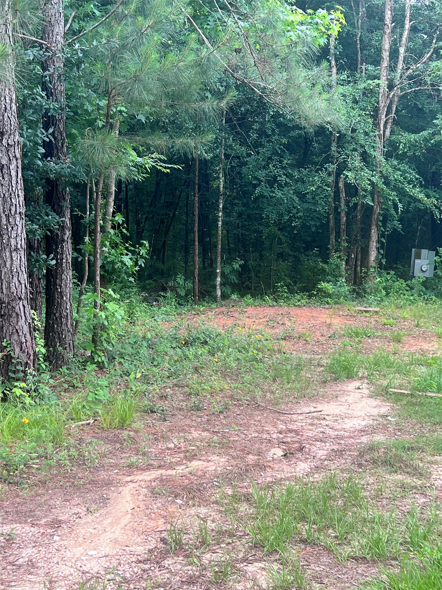 967 Big Foot Wallace Trail Property Photo 7