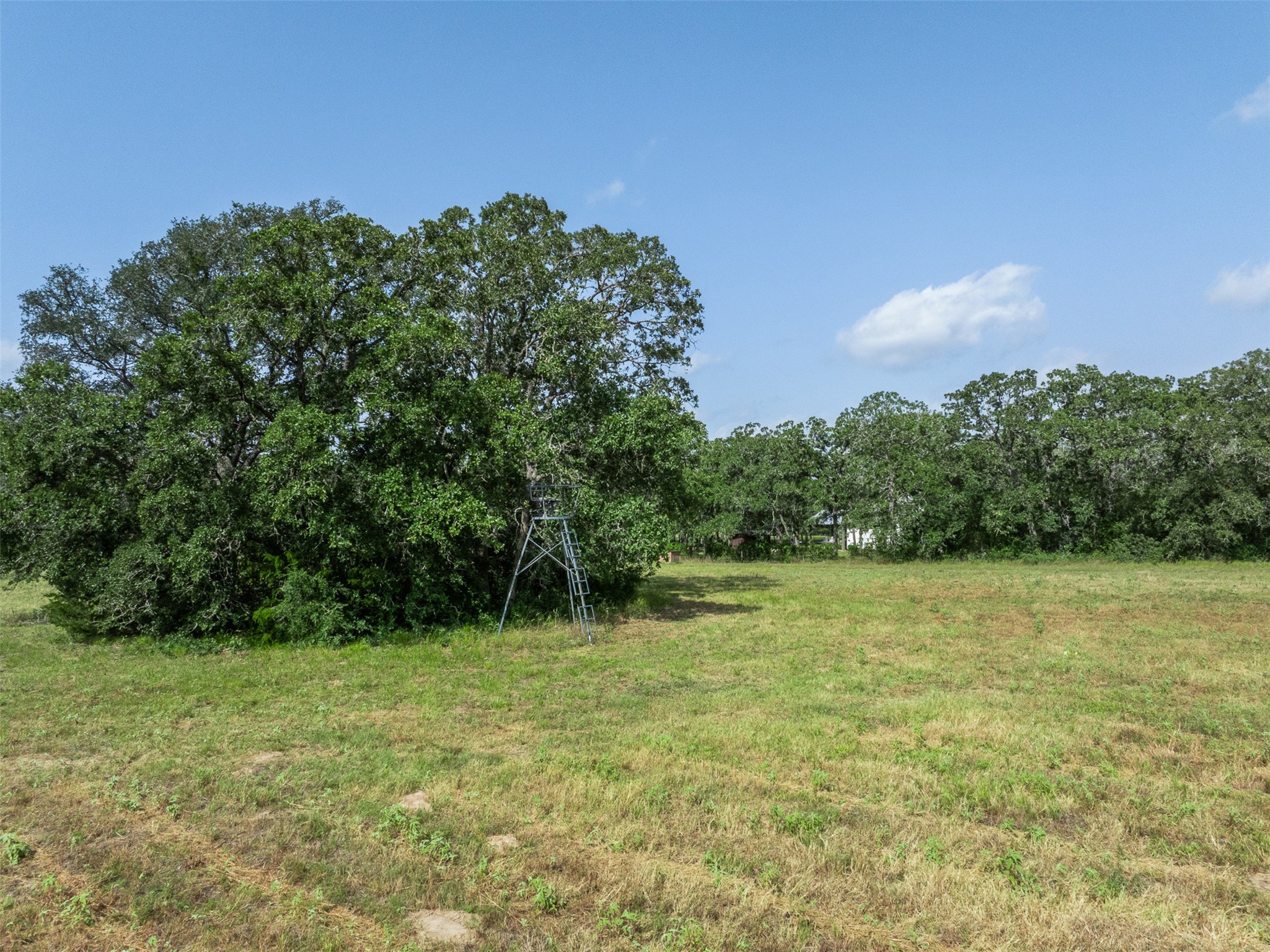 6811 Mockingbird Road Property Photo 30
