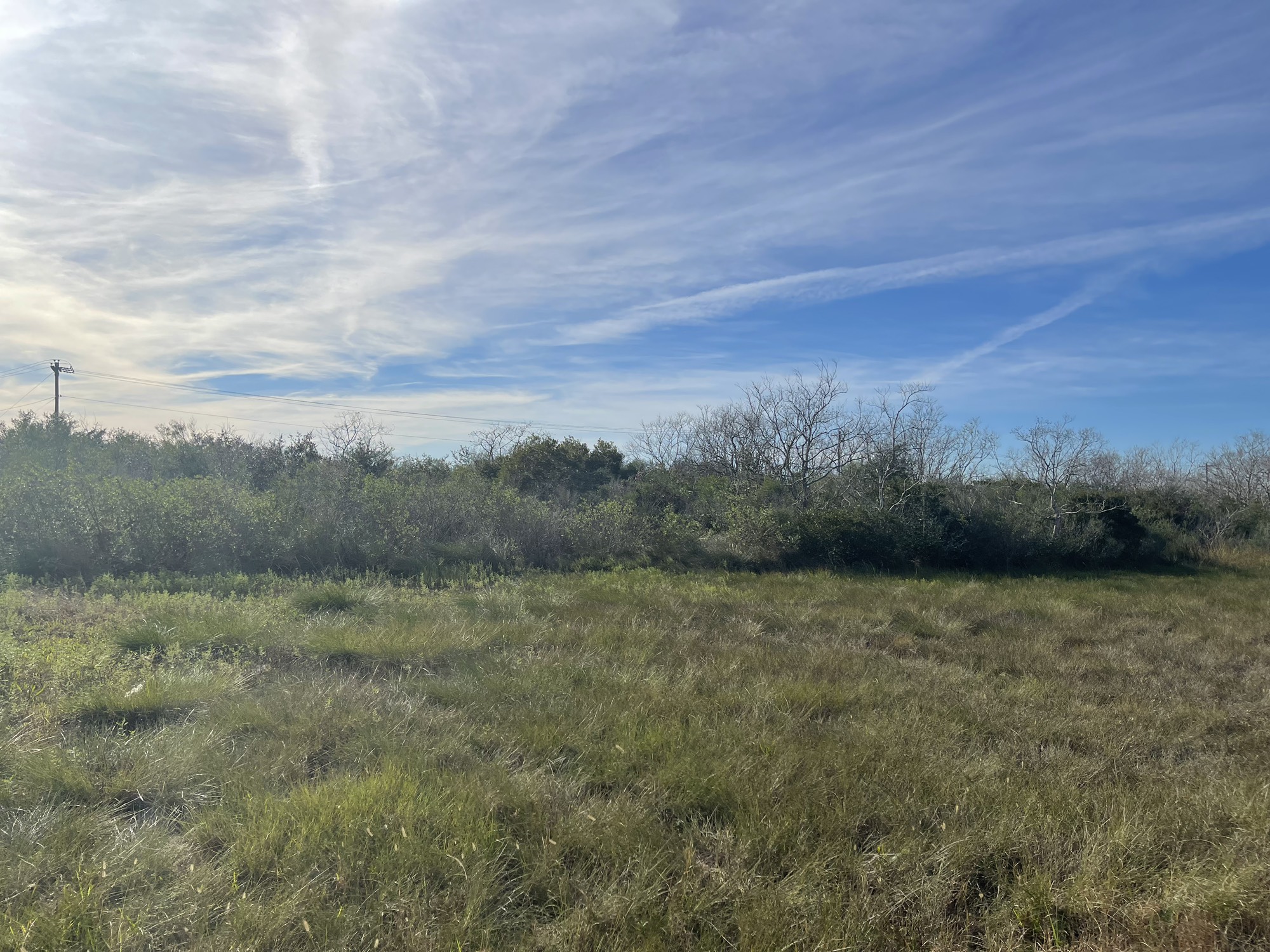 0 Hwy 146 Property Photo 13