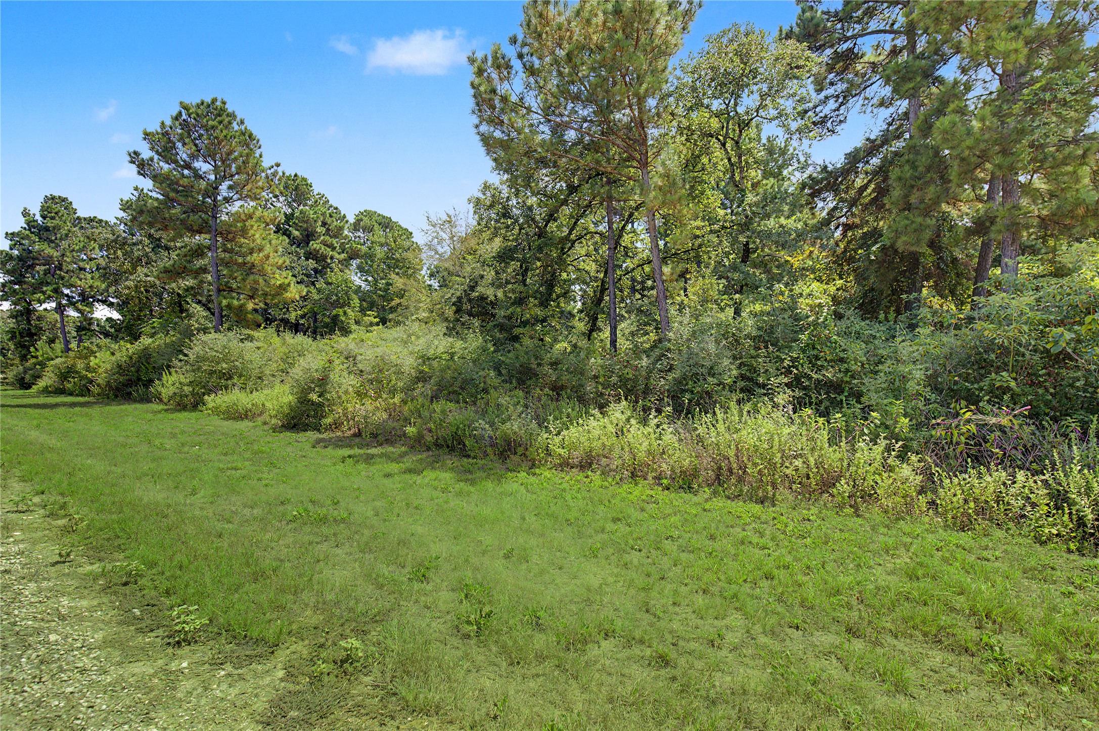 Lot 15 Woodland Hills Ranch Property Photo 5