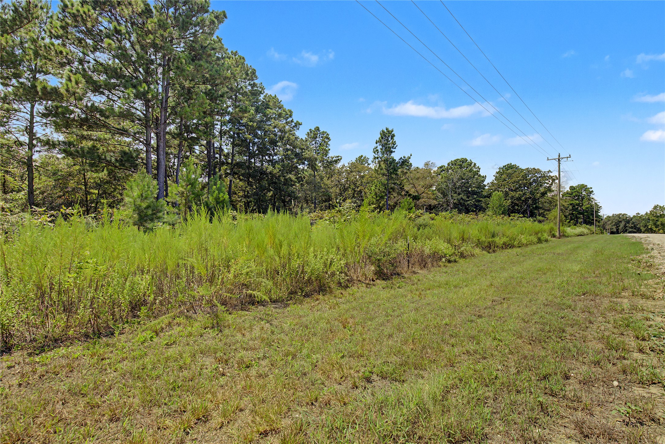 Lot 15 Woodland Hills Ranch Property Photo 16