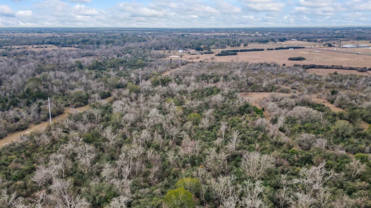 14872 Fm 359 Property Photo 6