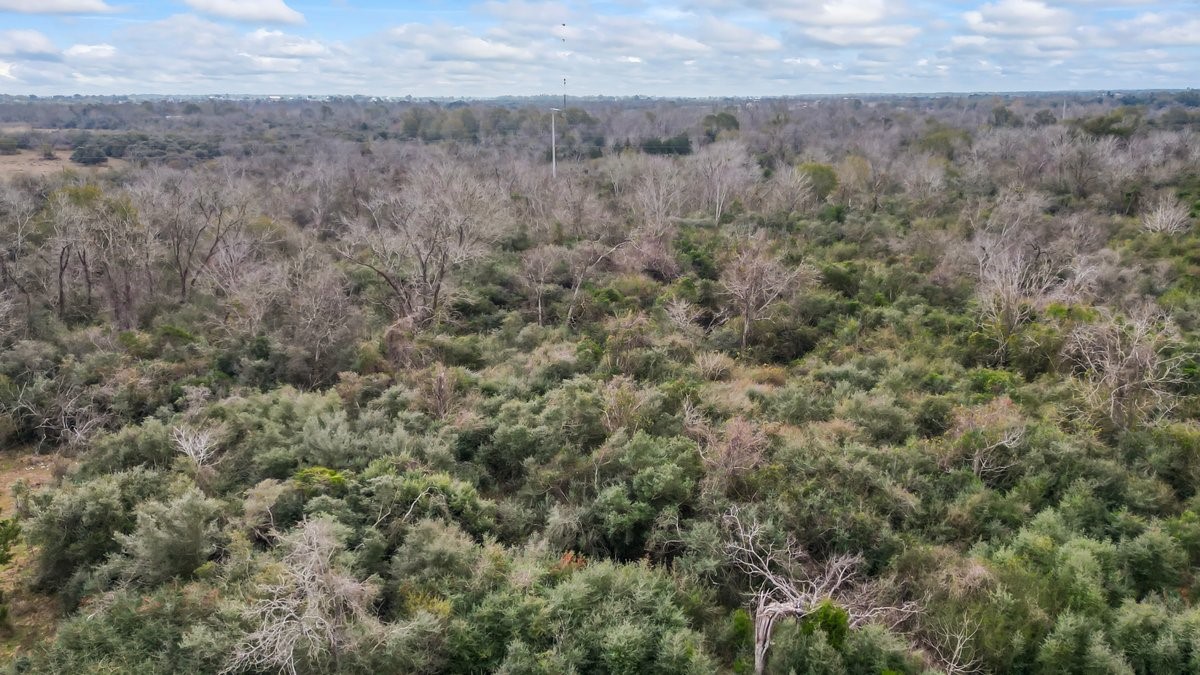 14872 Fm 359 Property Photo 27