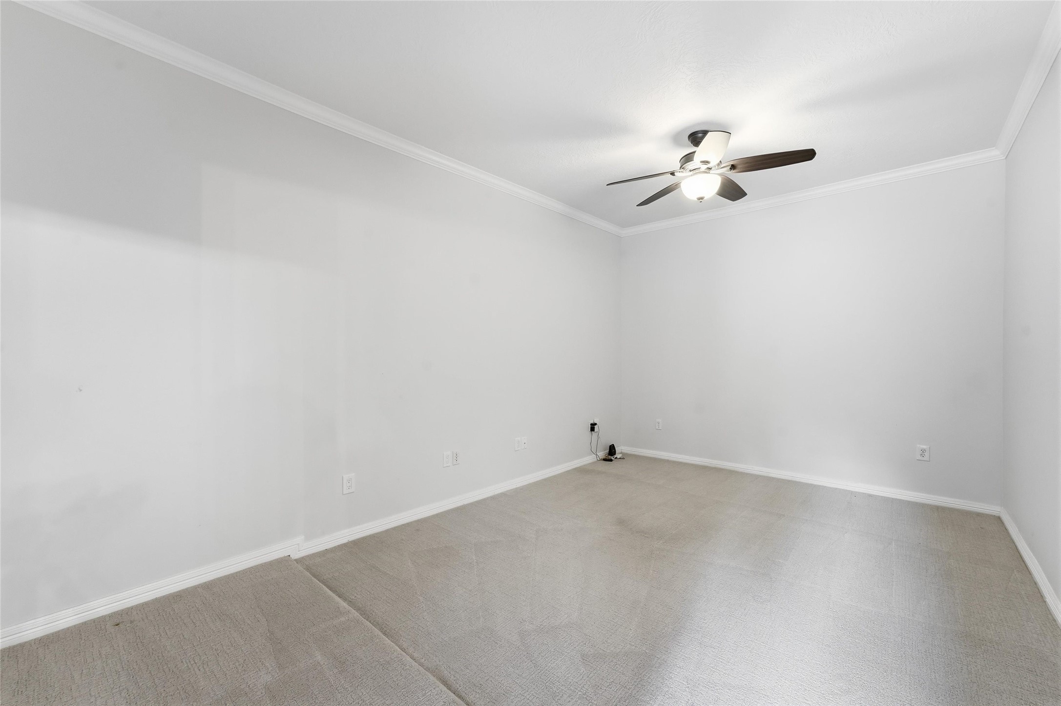 4506 Cardinal Brook Way Property Photo 19