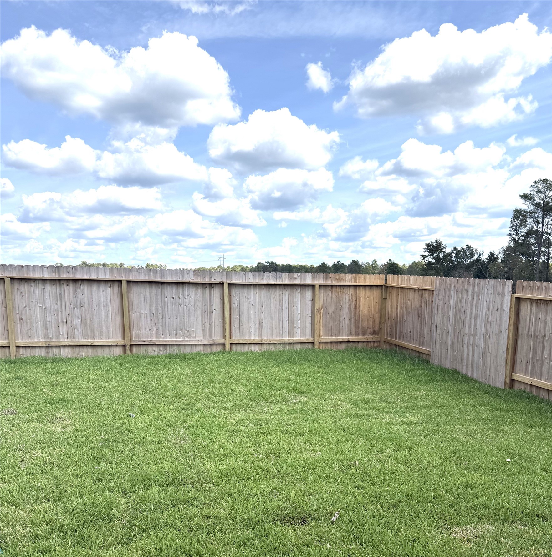 13016 Mccrorey Trails Drive Property Photo 17