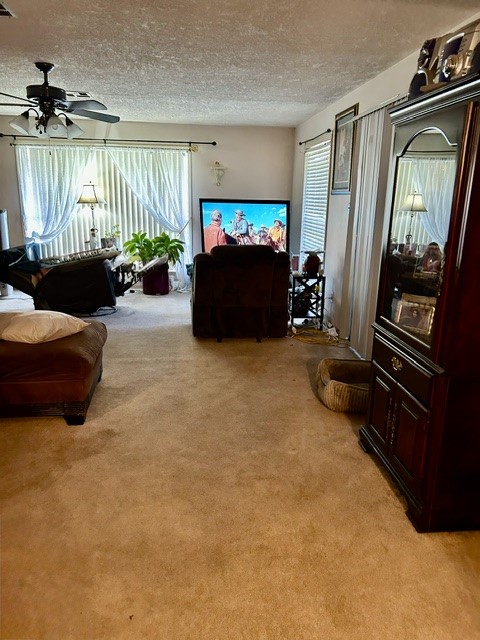 3703 Sandy Meadow Lane Property Photo 1