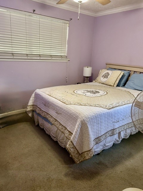 3703 Sandy Meadow Lane Property Photo 8