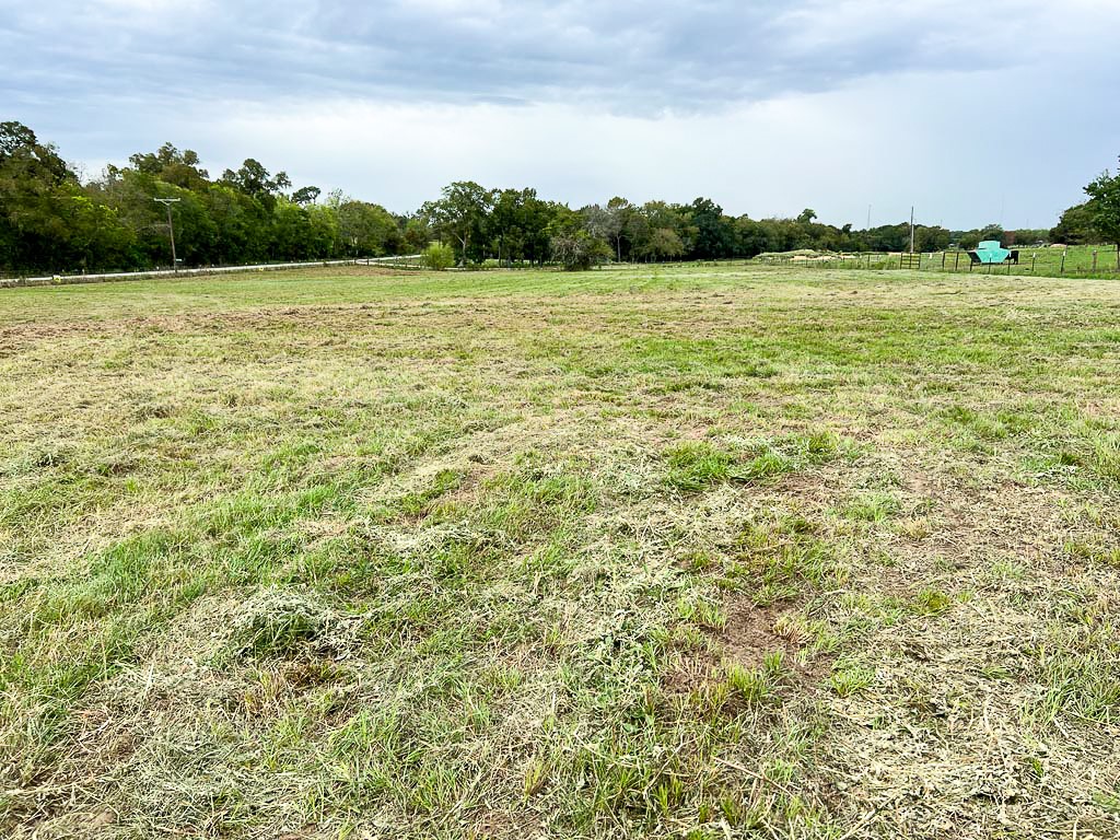 Lot 4 Cr 319 Property Photo 3