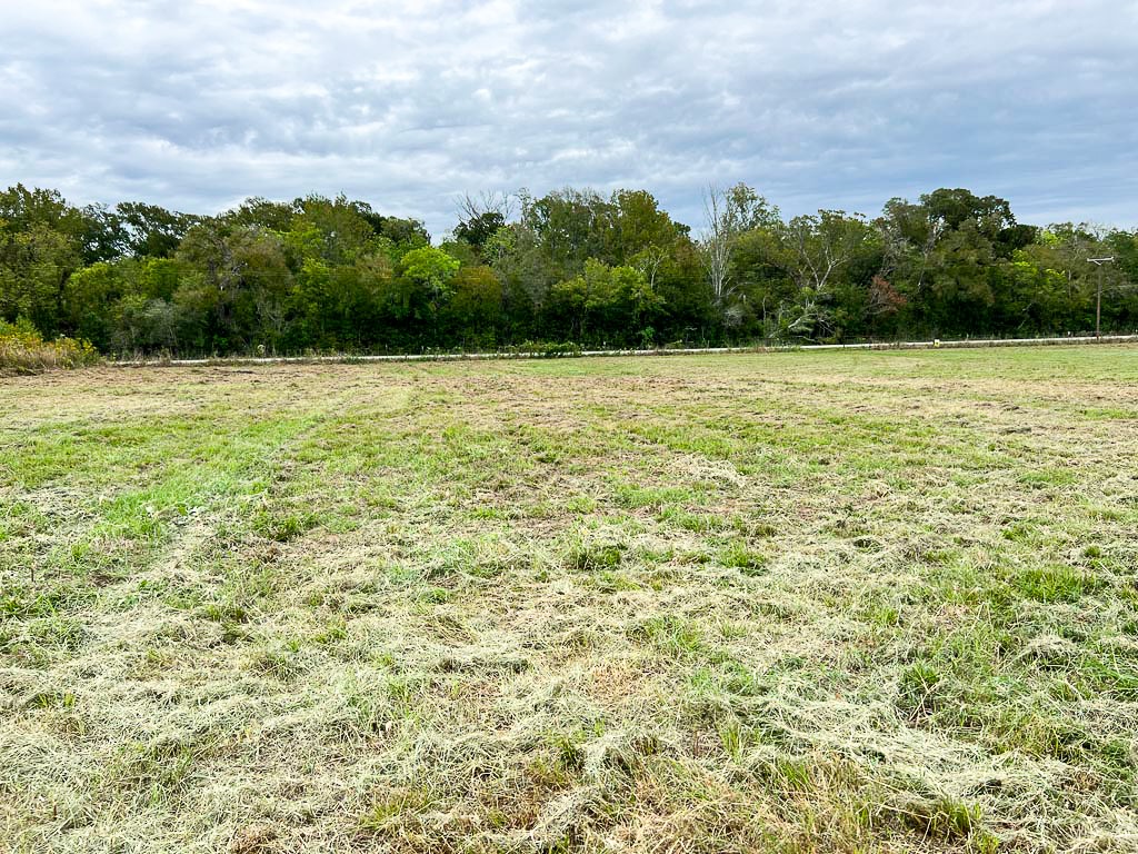 Lot 4 Cr 319 Property Photo 4
