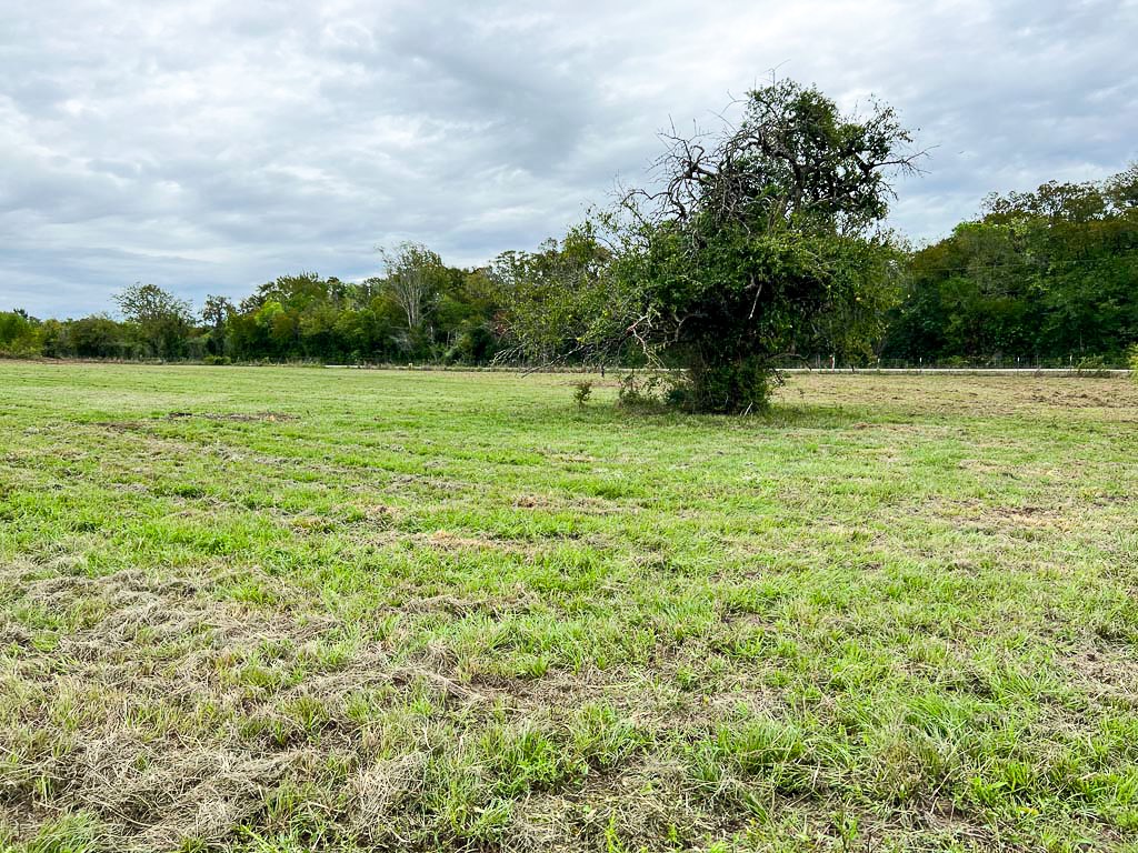 Lot 4 Cr 319 Property Photo 5
