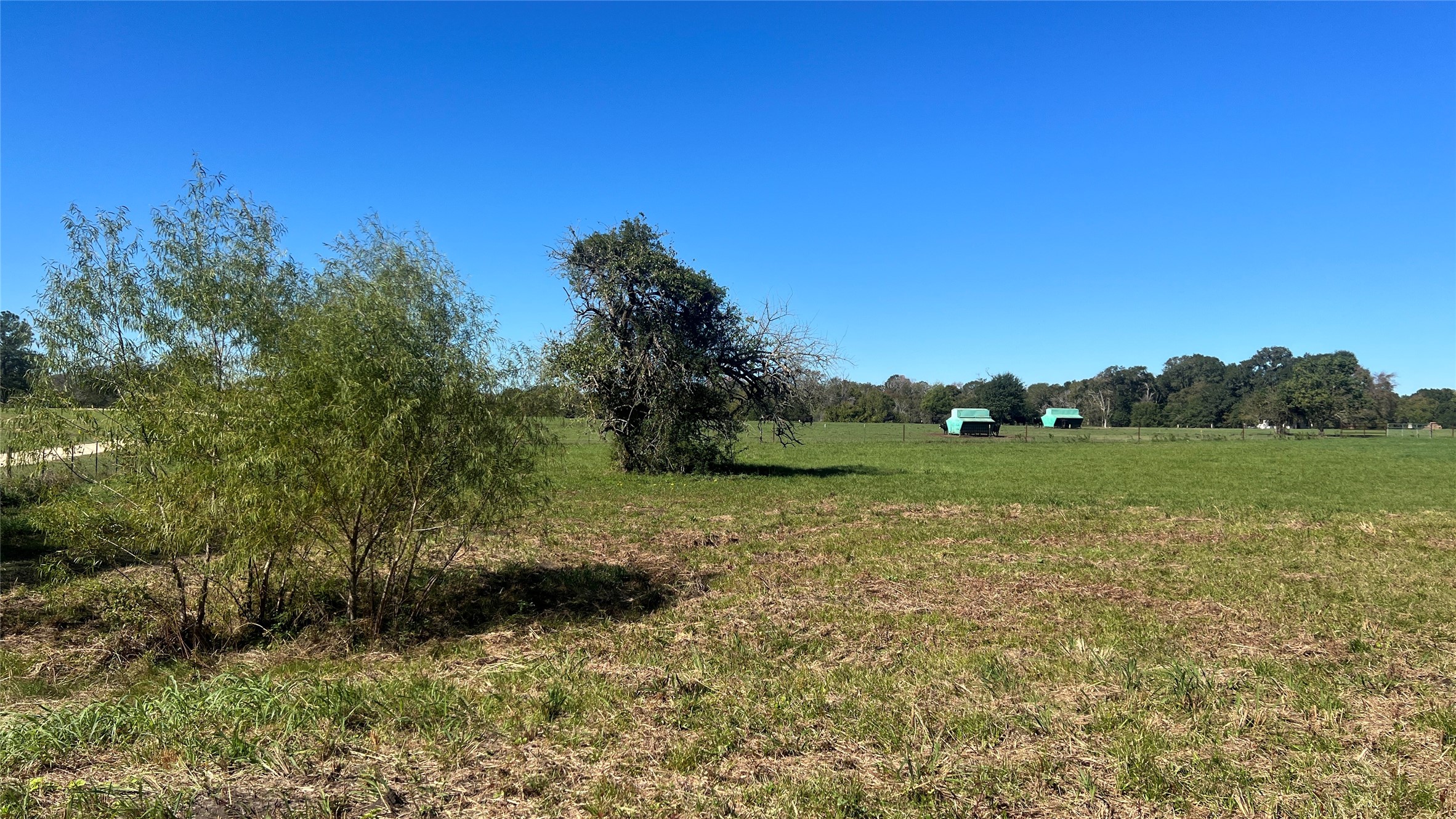 Lot 4 Cr 319 Property Photo 8