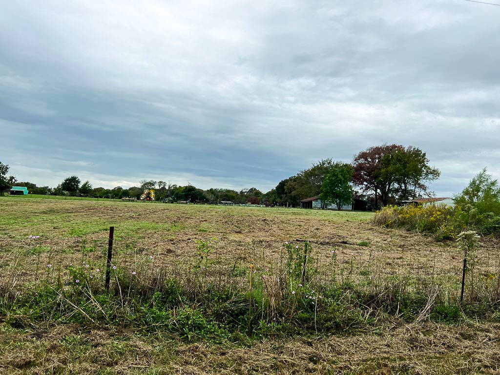Lot 4 Cr 319 Property Photo 9