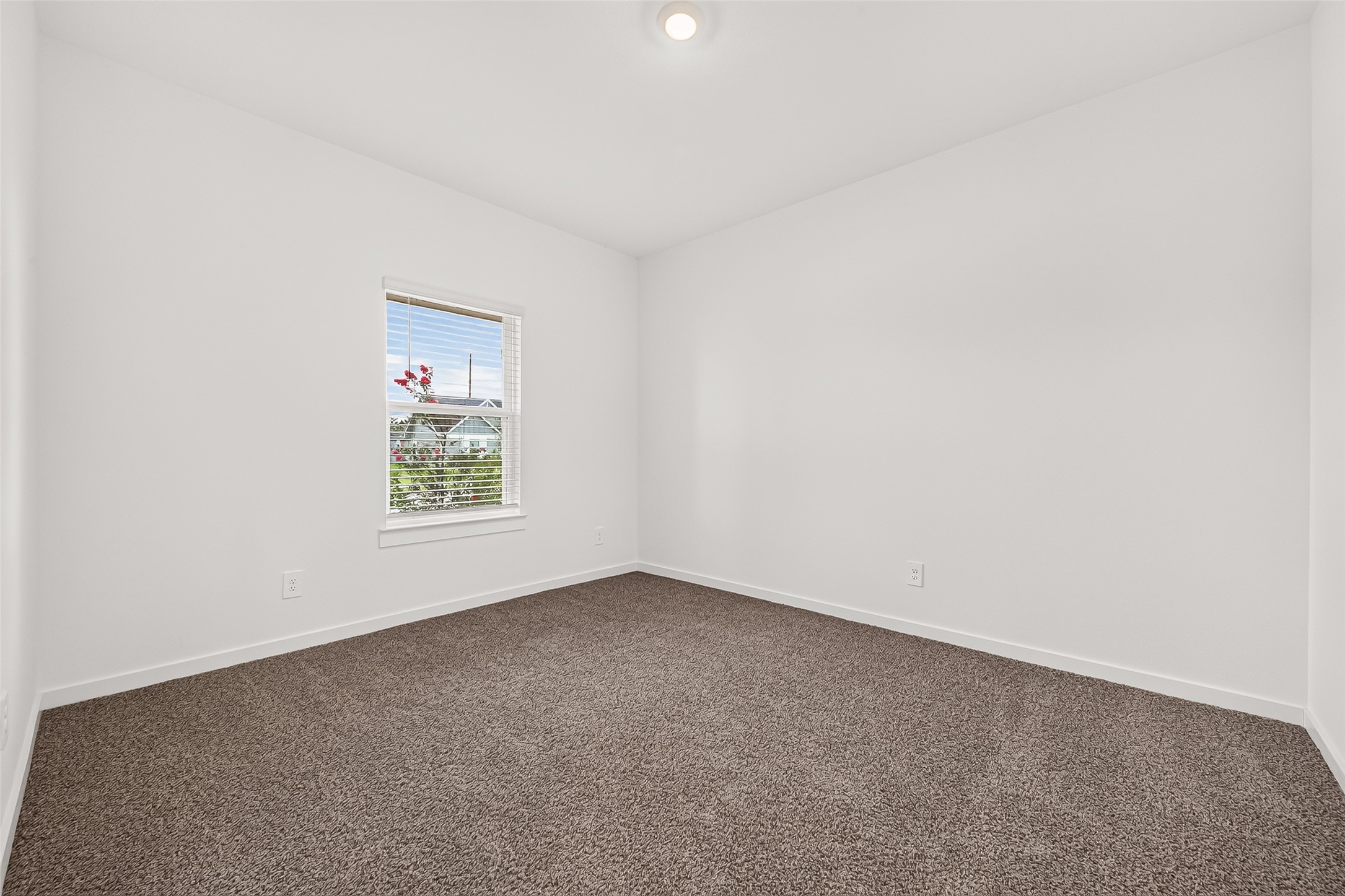 2921 Willow Gulch Way Property Photo 5