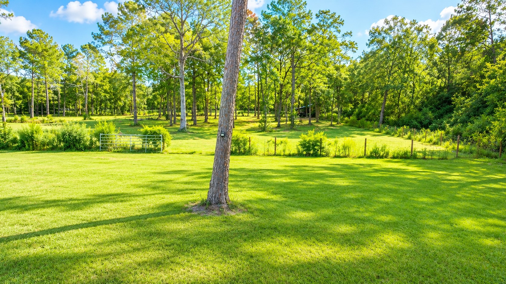 26898 Forest Hills Lane Property Photo 21