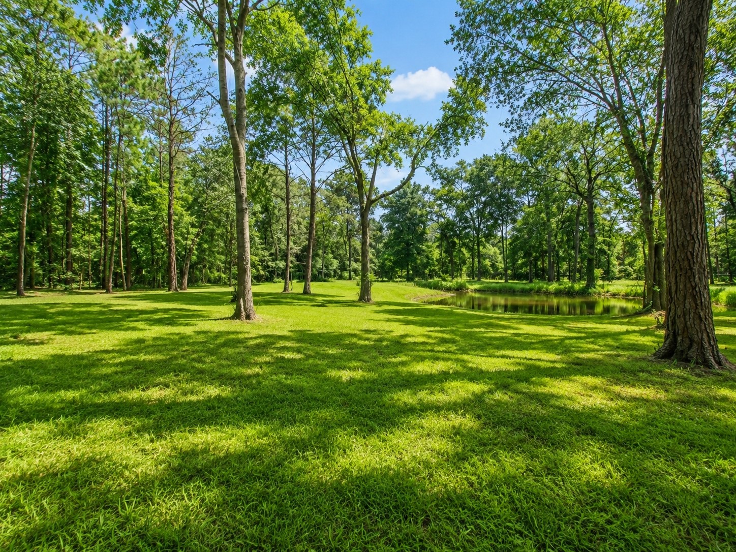 26898 Forest Hills Lane Property Photo 25
