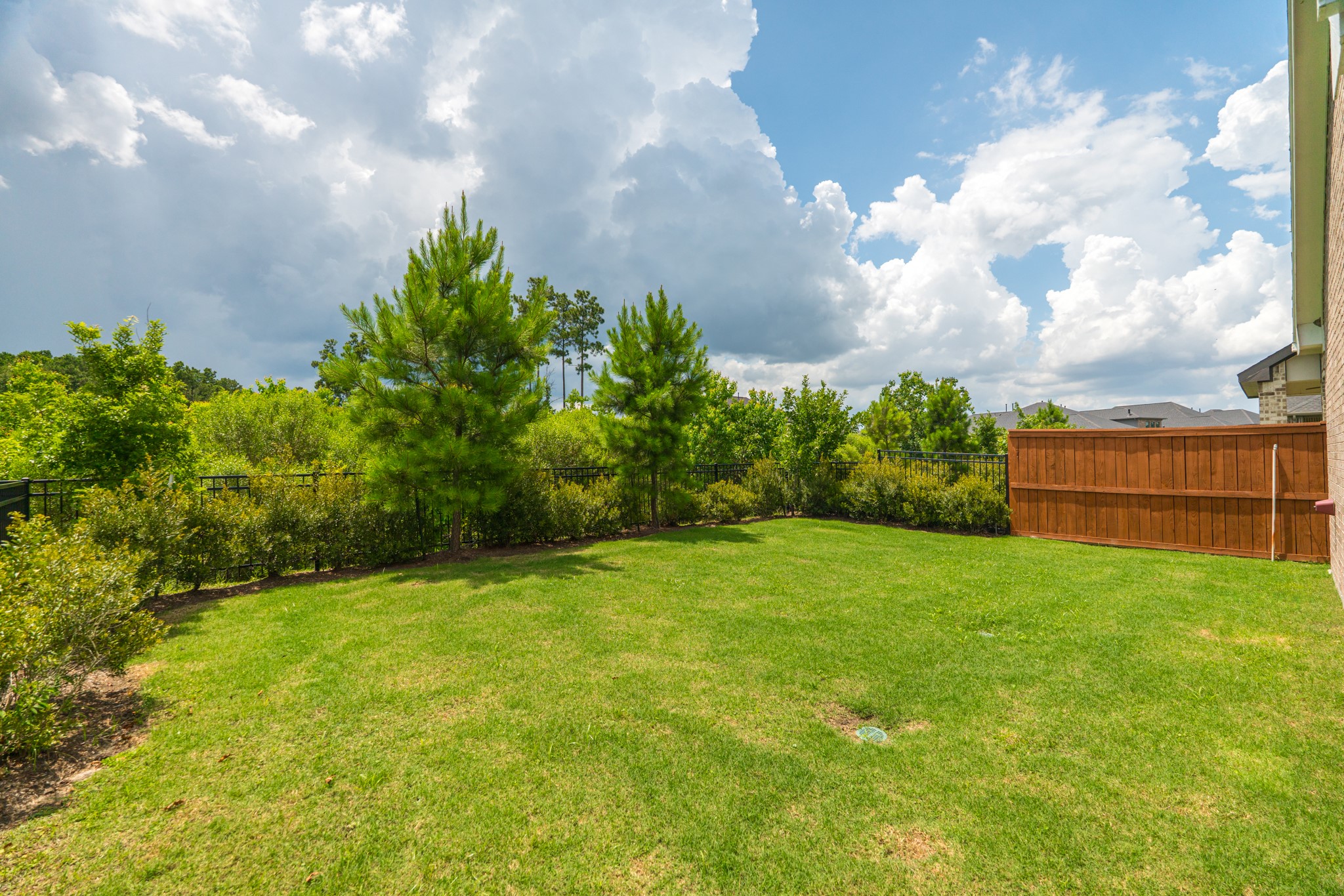 17794 Tree Of Heaven Property Photo 19