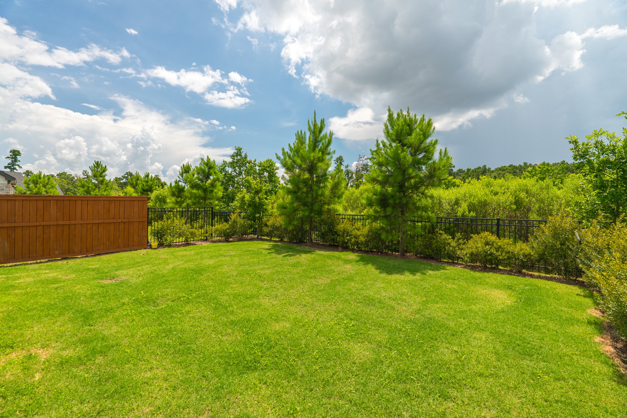 17794 Tree Of Heaven Property Photo 20