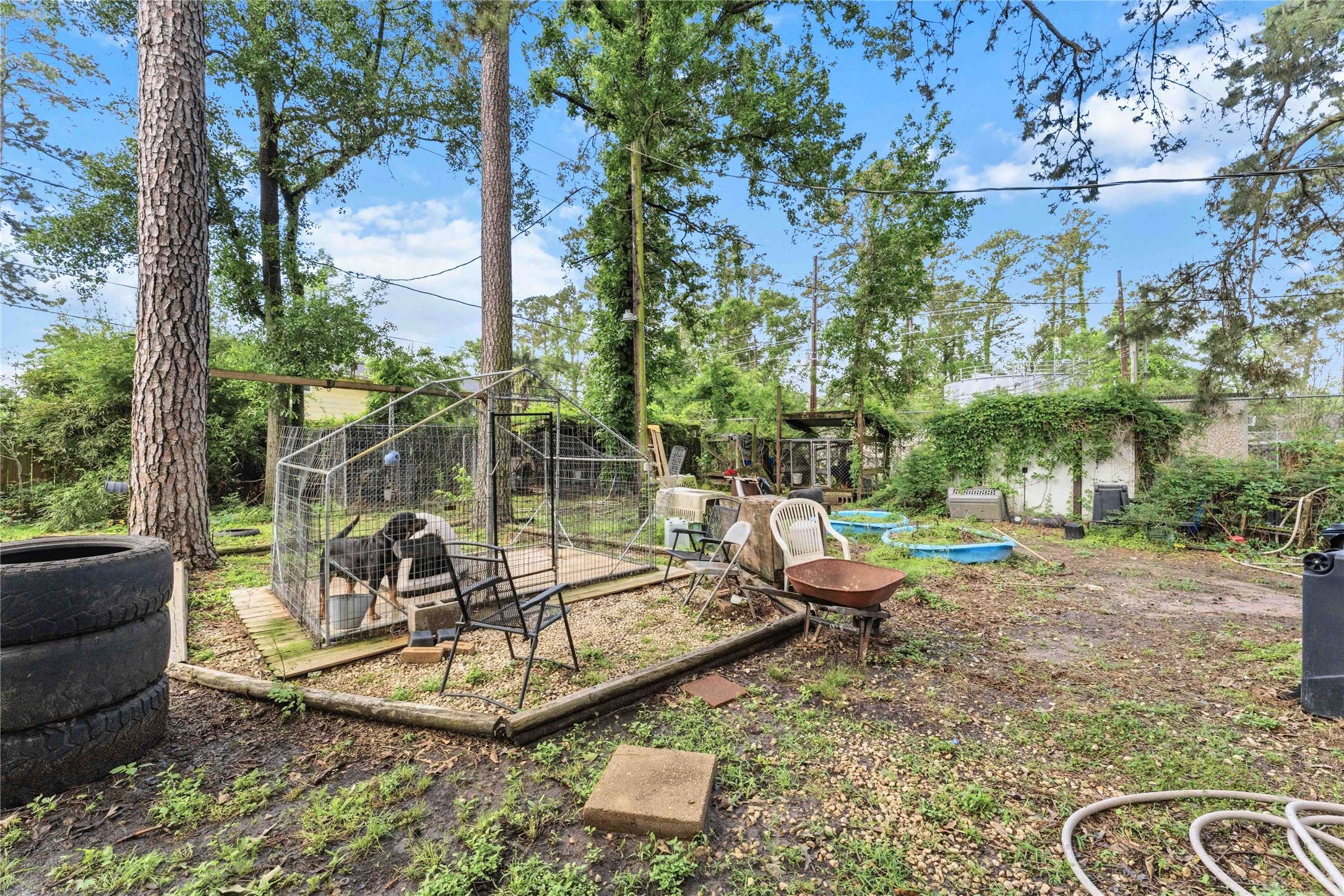 1114 Mustang Trail Property Photo 22