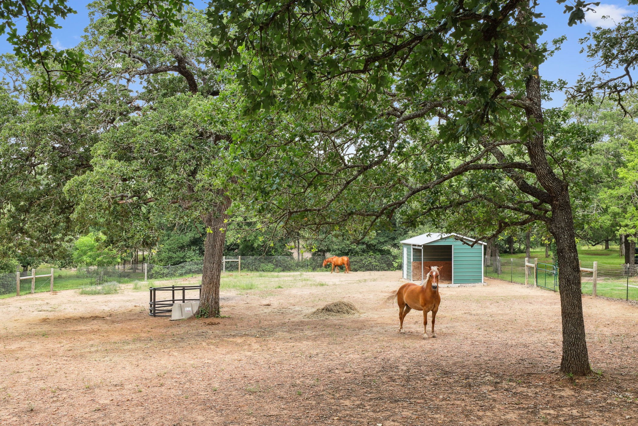 202 The Oaks Boulevard N Property Photo 48