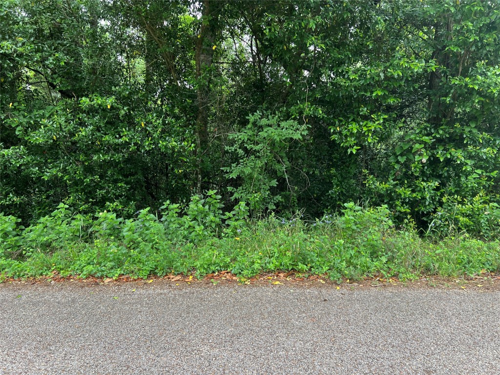 000 Rollingwood Loop Property Photo 3