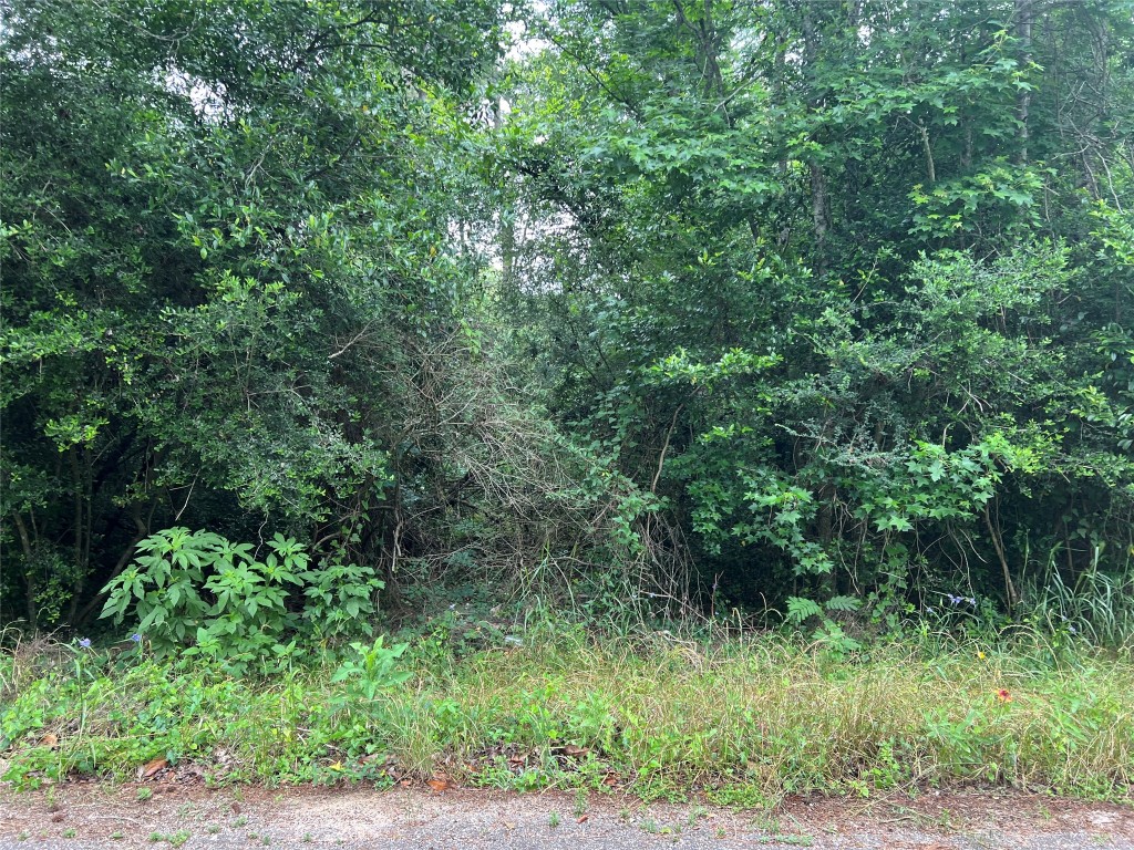 000 Rollingwood Loop Property Photo 4