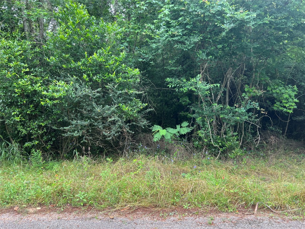000 Rollingwood Loop Property Photo 5
