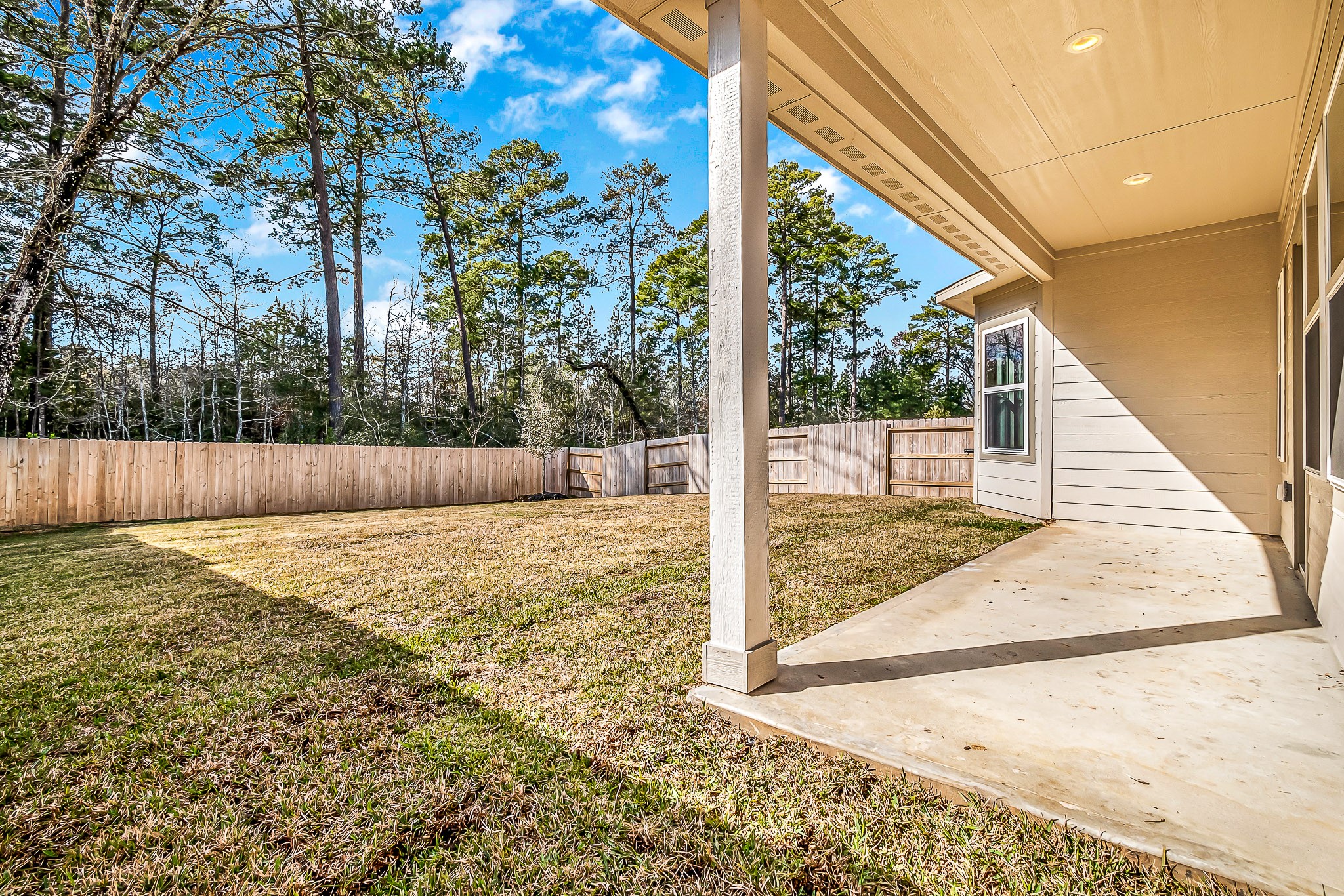 17925 Canopy Trace Court Property Photo 6