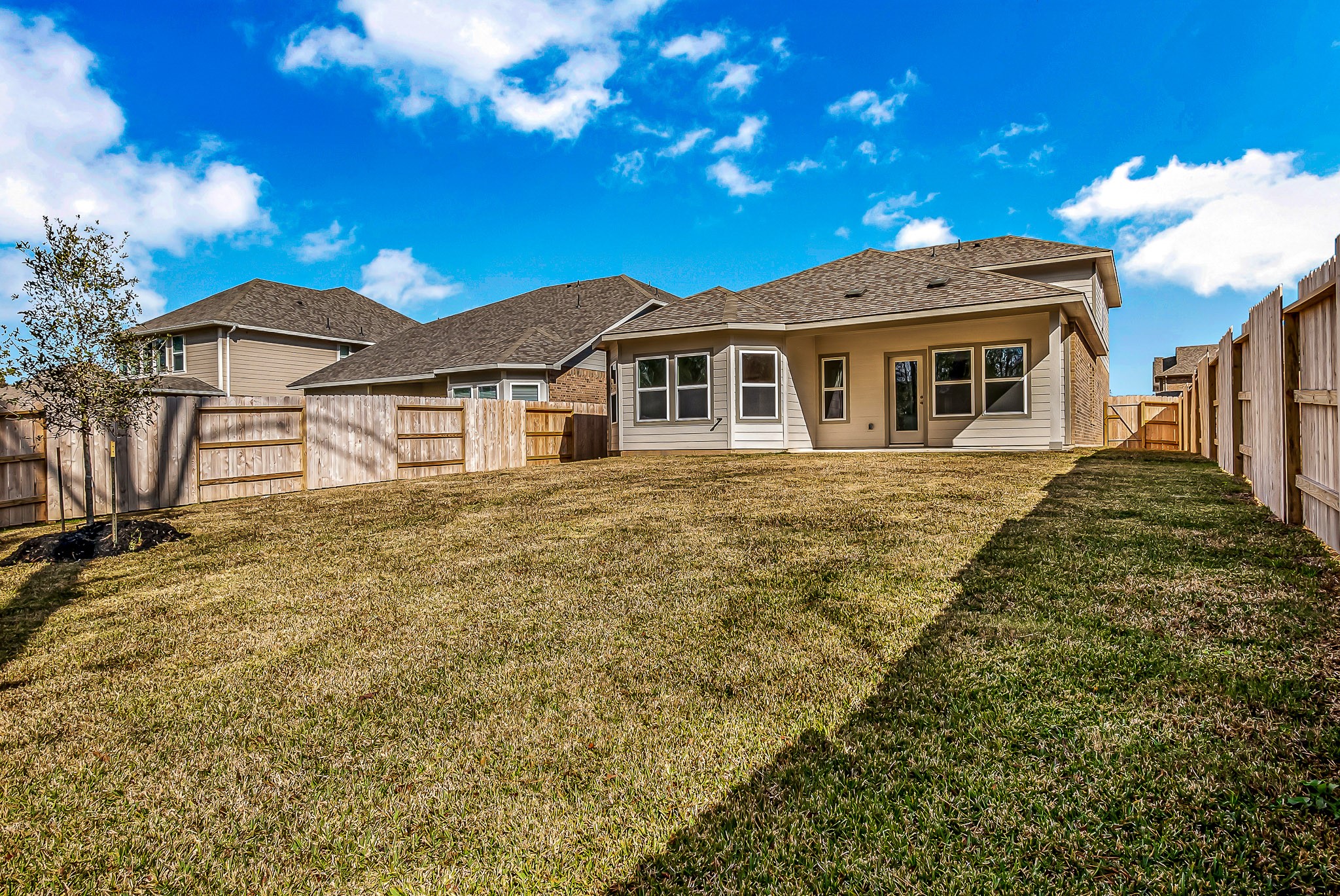 17925 Canopy Trace Court Property Photo 7