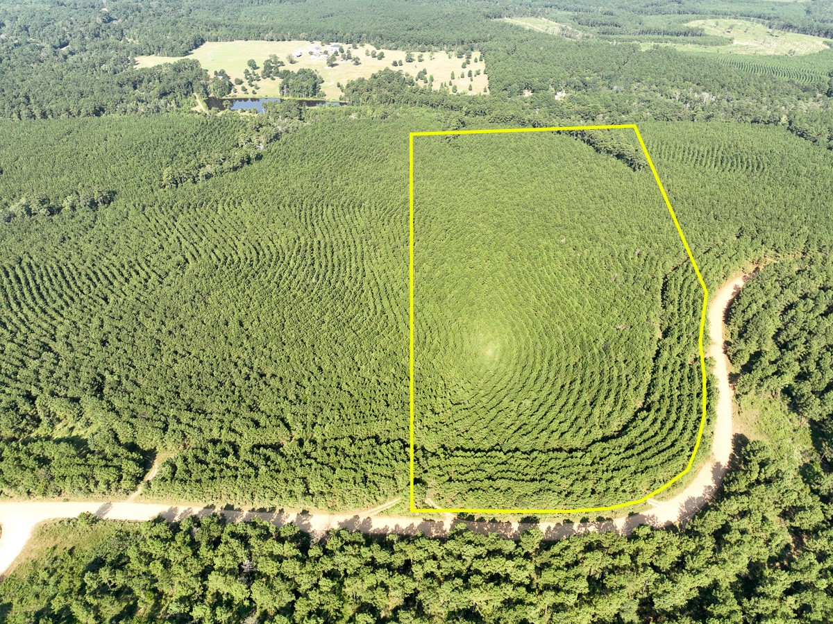 00 Shady Grove Rd Property Photo 1