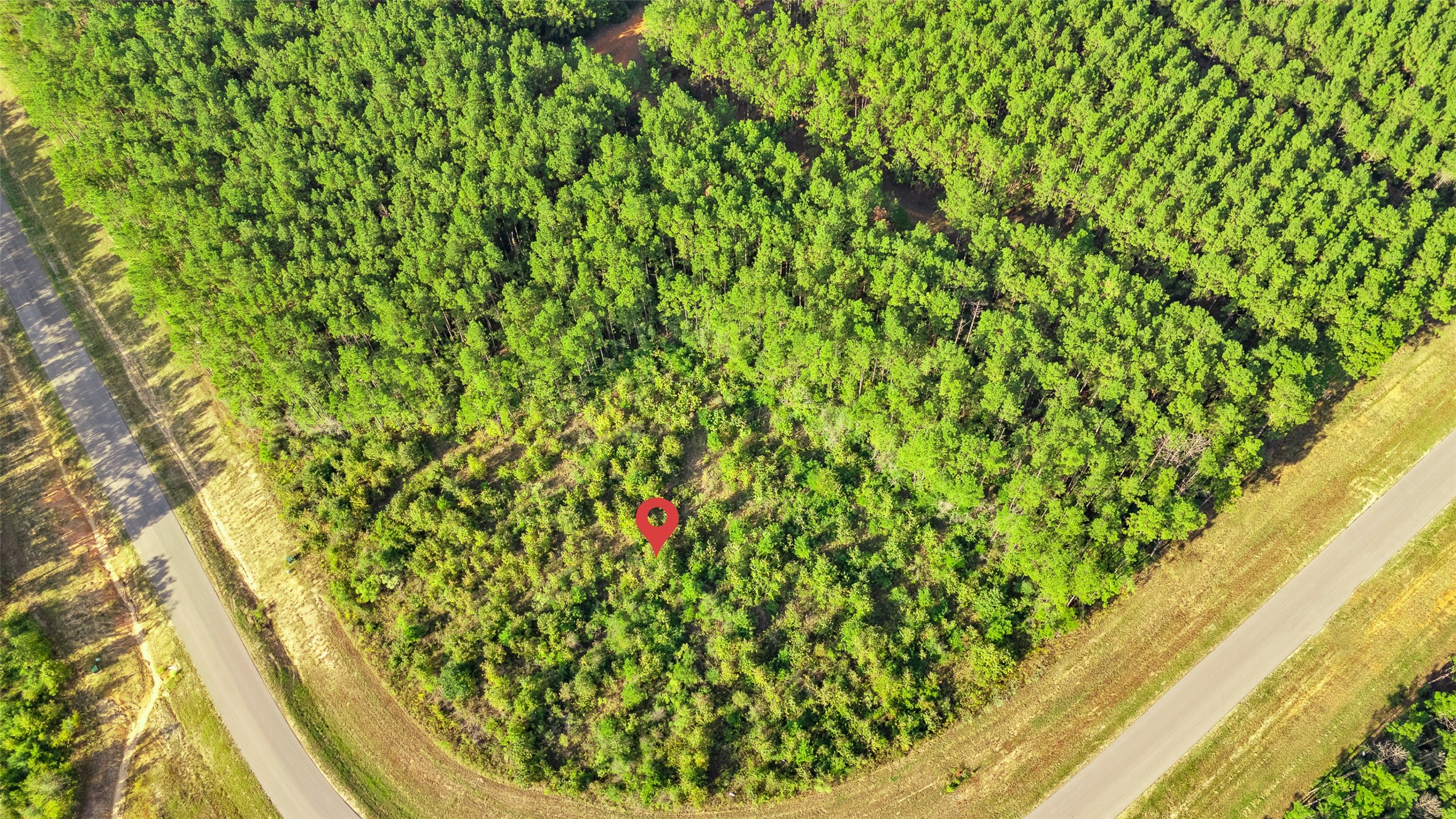 16086 Forest Mill Road Property Photo 3