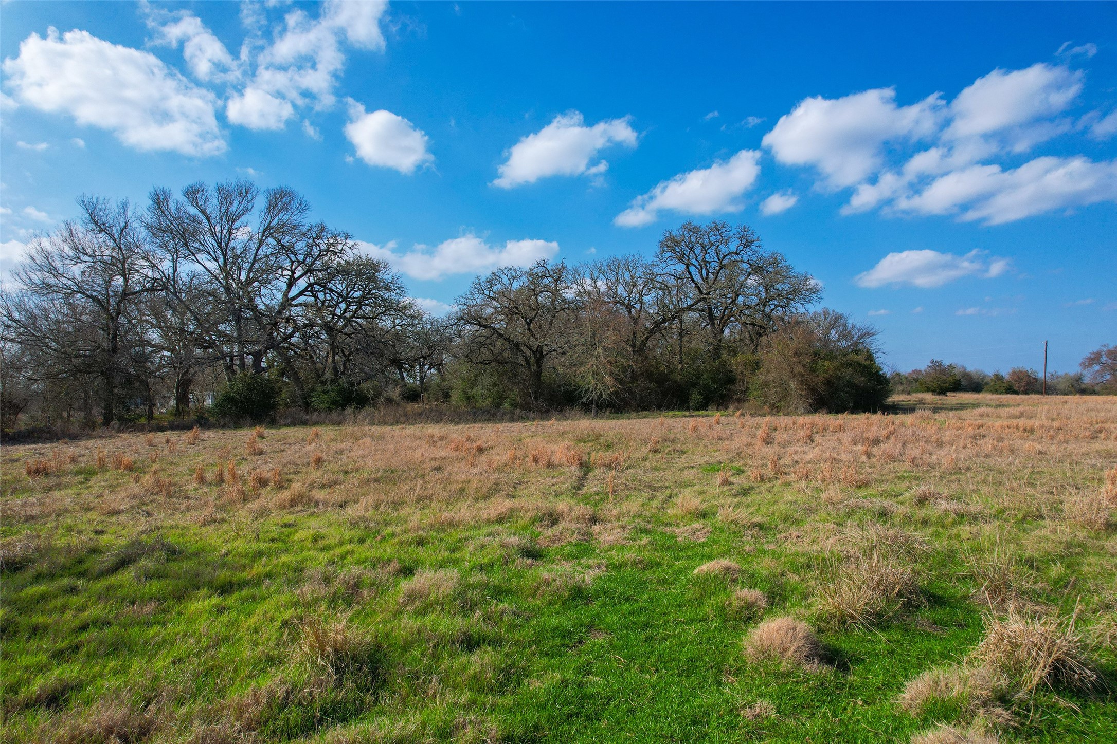 Tbd Fm 391 Property Photo 10