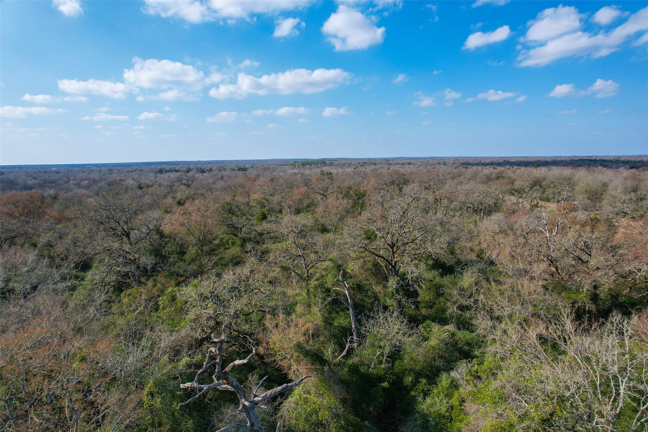 Tbd Fm 391 Property Photo 14
