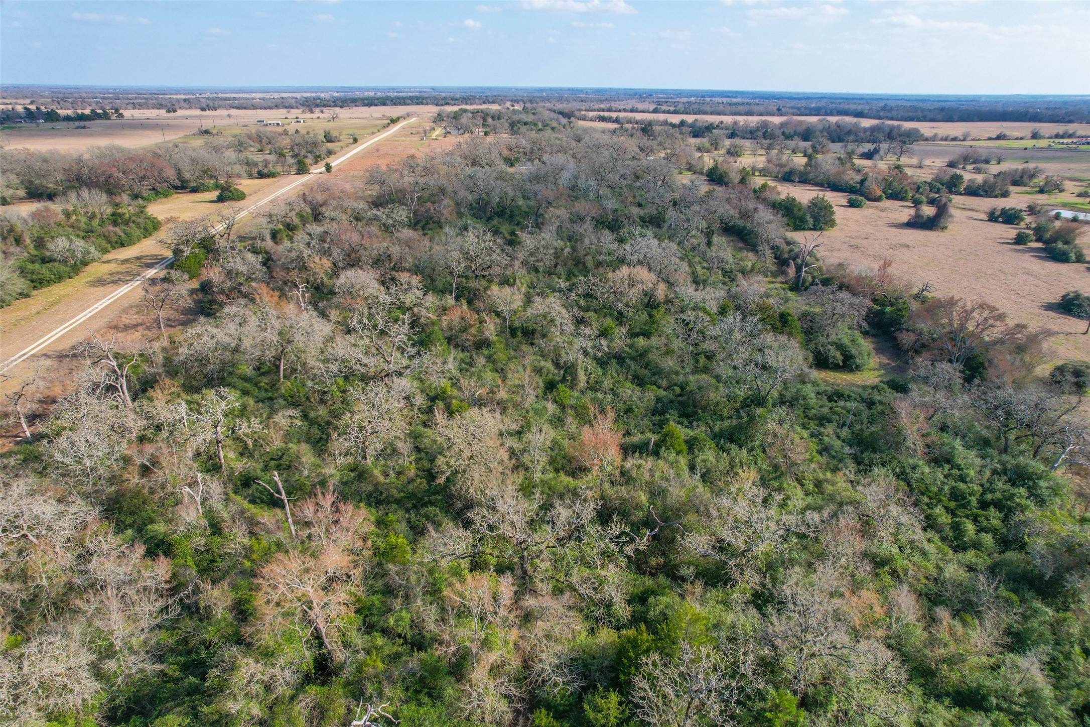 Tbd Fm 391 Property Photo 15