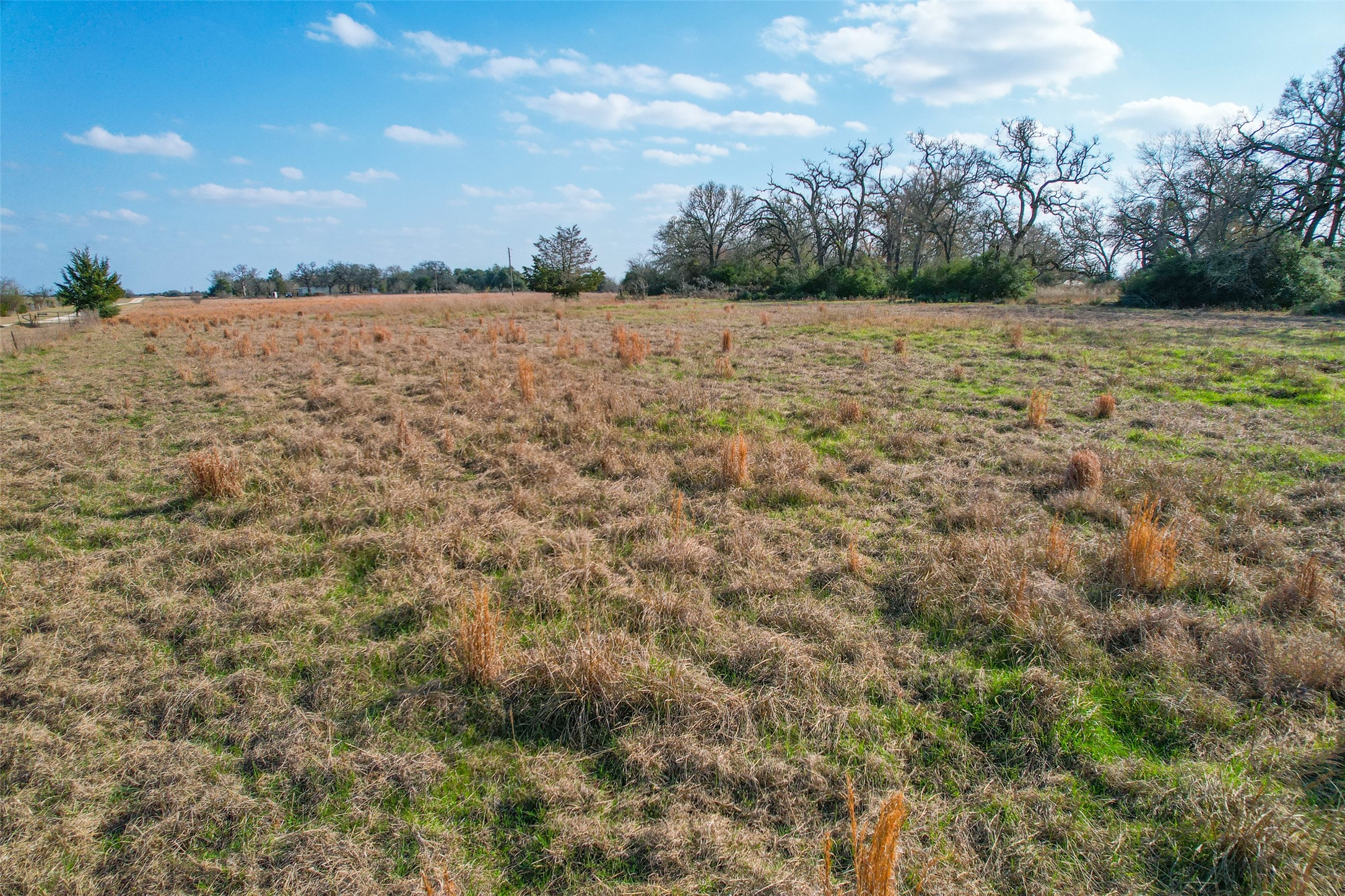 Tbd Fm 391 Property Photo 16
