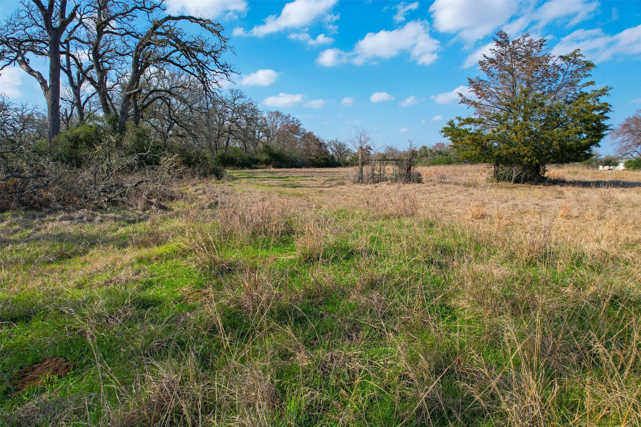 Tbd Fm 391 Property Photo 21