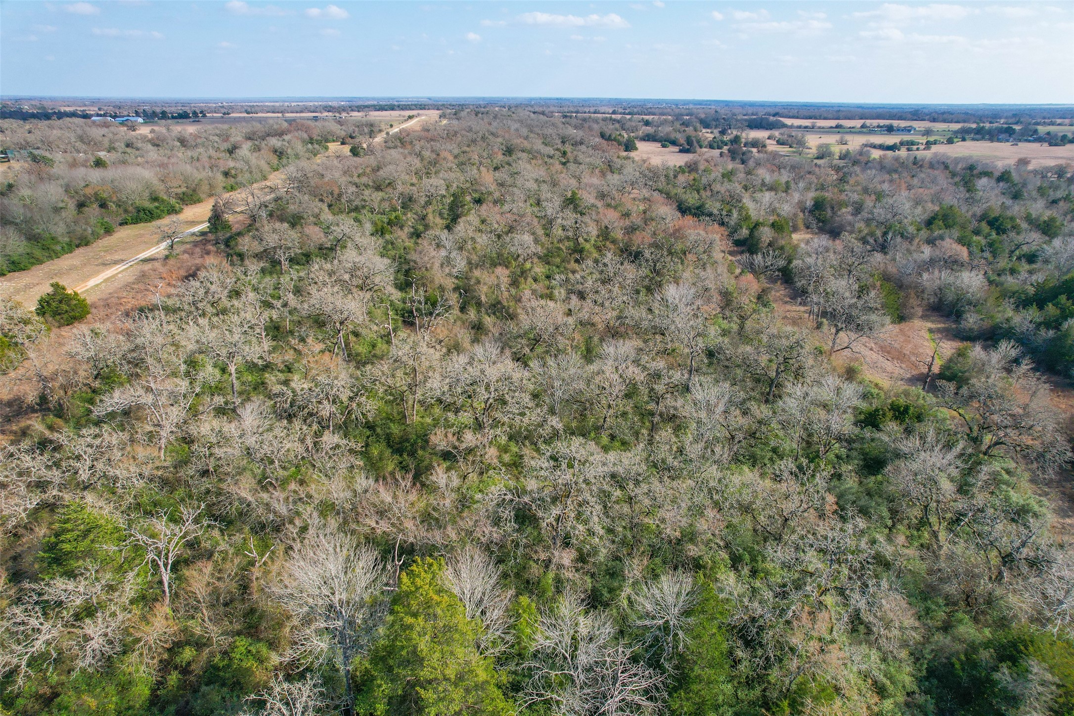 Tbd Fm 391 Property Photo 23