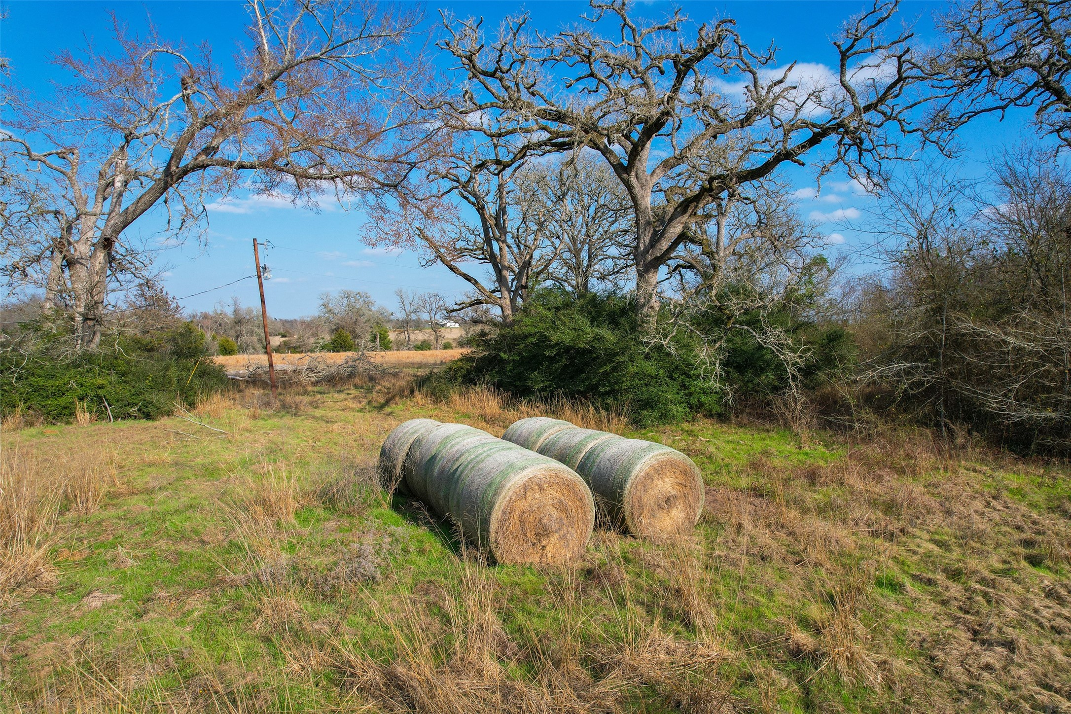 Tbd Fm 391 Property Photo 24