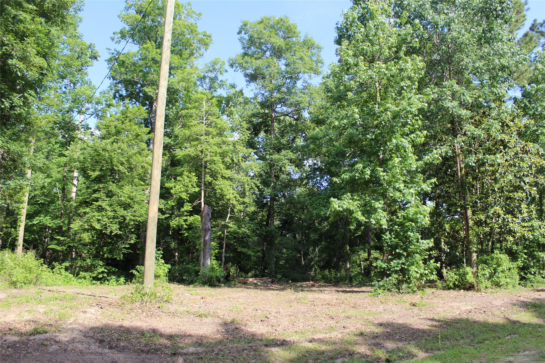 400 Carson Roberson Road Property Photo 8