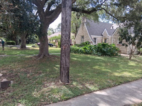 1304 Rhodora Street Property Photo 5