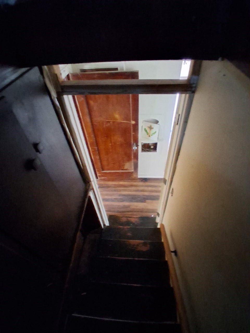 1304 Rhodora Street Property Photo 16