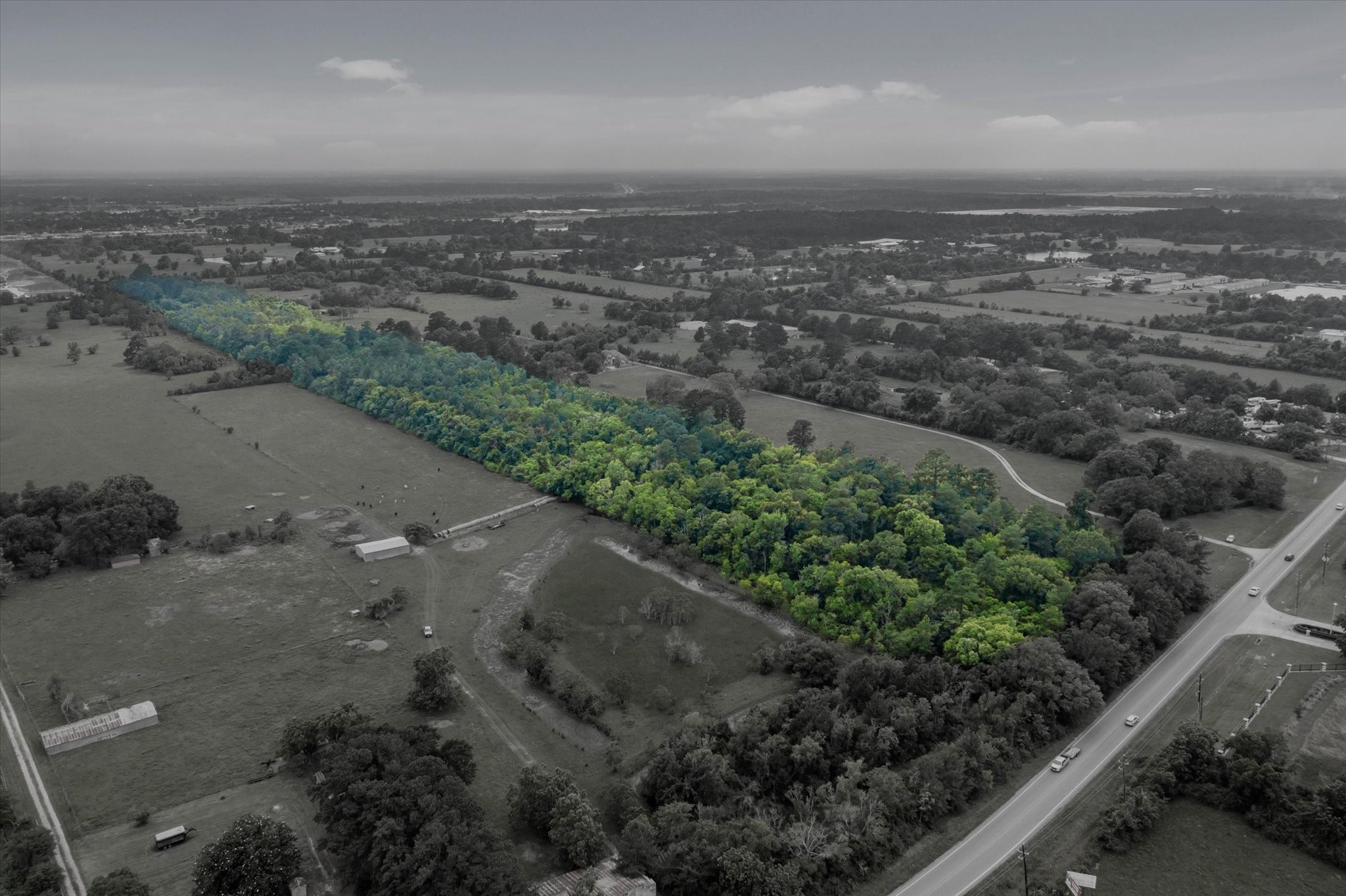19511 Fm 2920 Rd Road Property Photo 6
